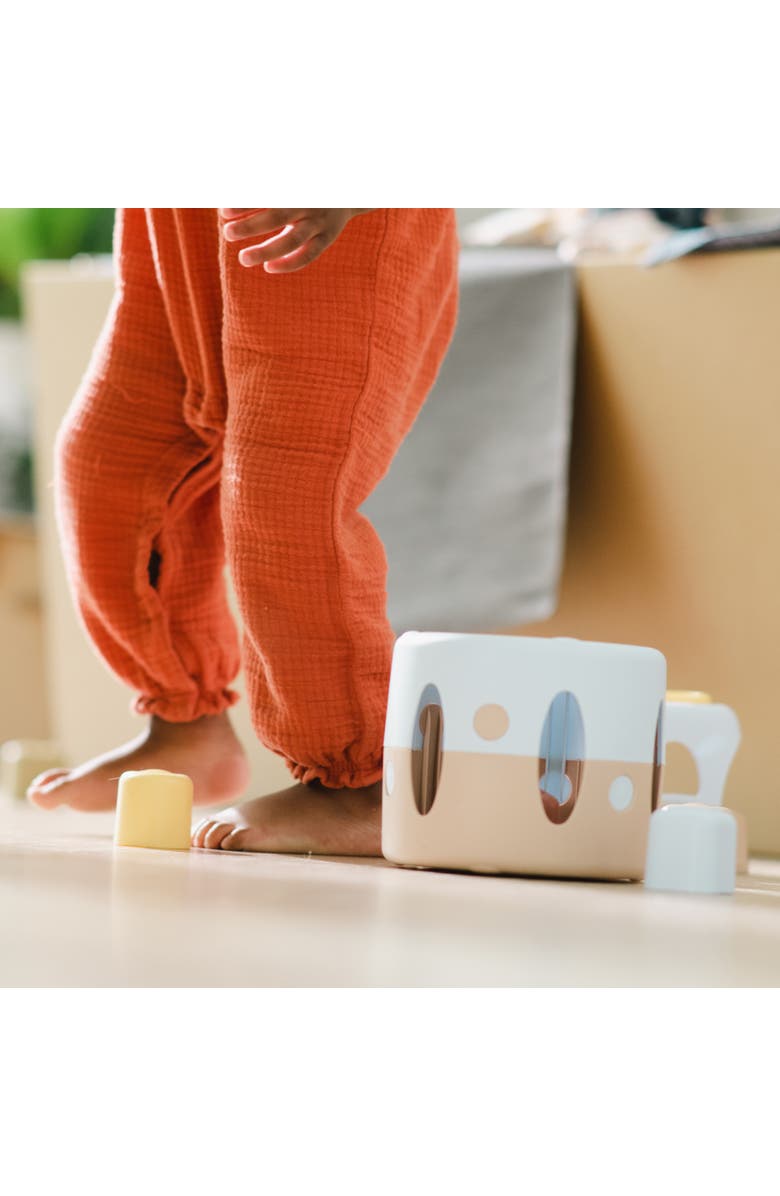 Dantoy TINY BIO Eco-Friendly Shape Sorter Toy (7 Pieces), Ages 10 Mos+, Alternate, color, Multicolored