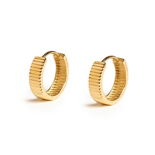 Zarux Golden Halo Hoops 4mm In Gold