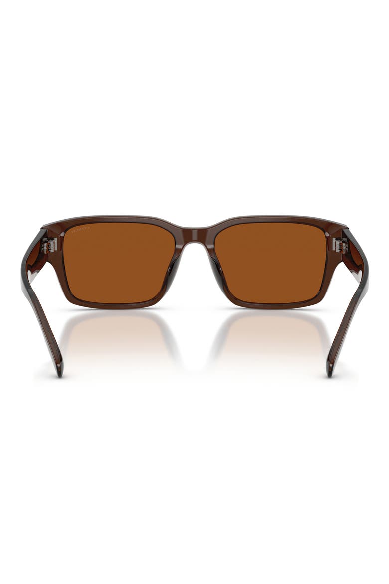 55mm Rectangular Sunglasses, Alternate, color, TRANSPARENT BROWN / BROWN