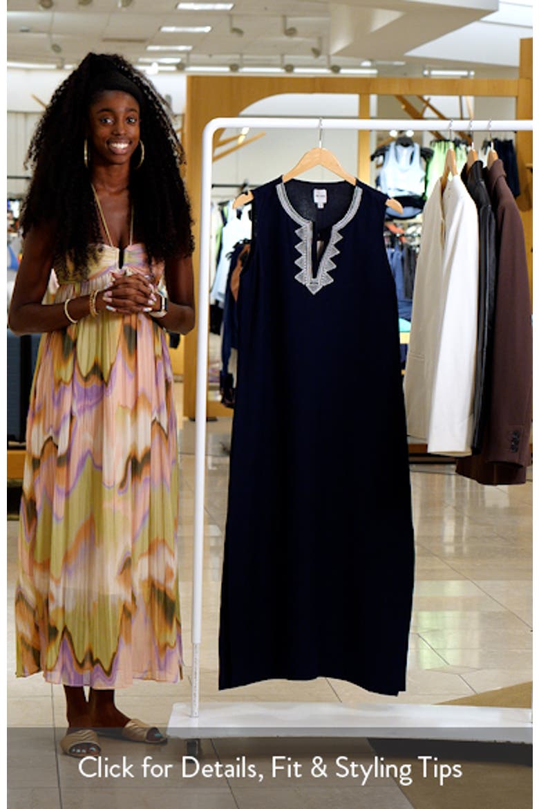 Sunset Soirée Embroidered Linen Blend Sundress video