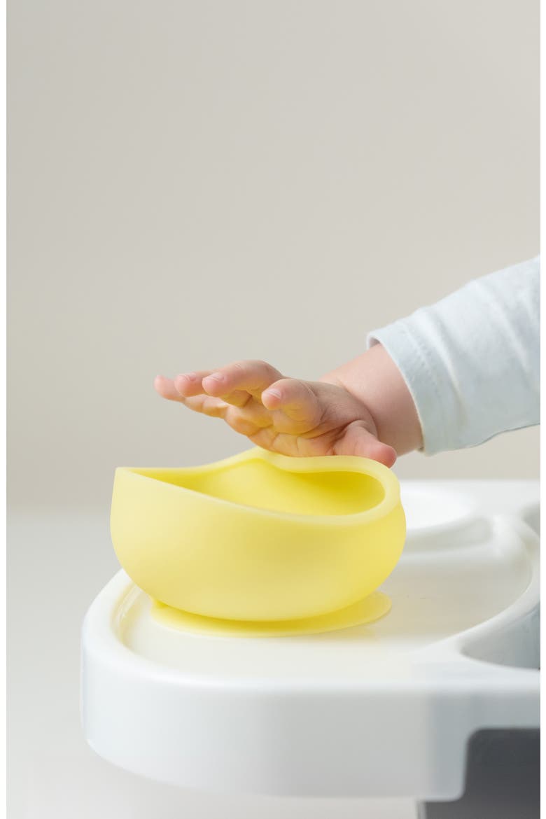 Stay-Put Bowls & Plates Set, Alternate, color, BLUEBERRY/ KIWI