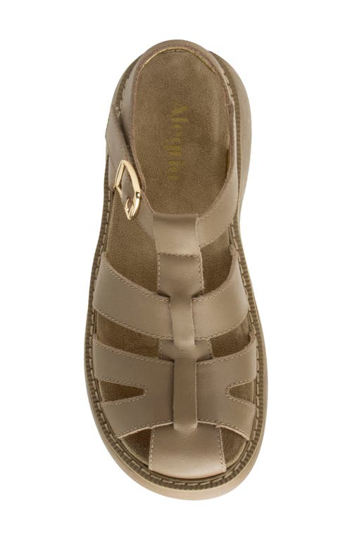 Alegria By Pg Lite Ingrid Fisherman Sandal