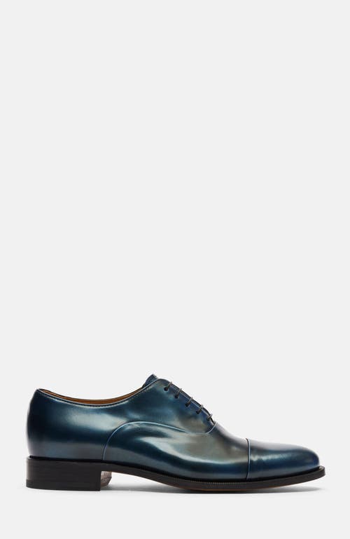 Scarosso Lorenzo Oxfords