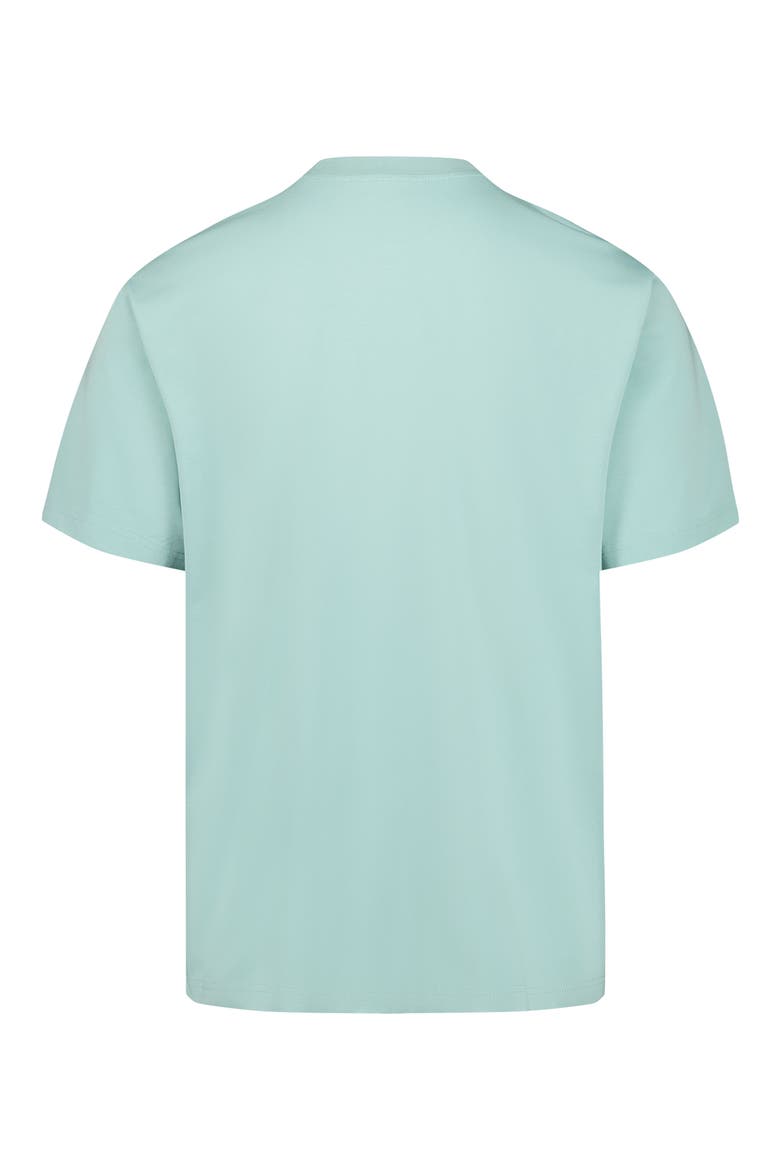 Swingman Graphic T-Shirt, Alternate, color, SAGE