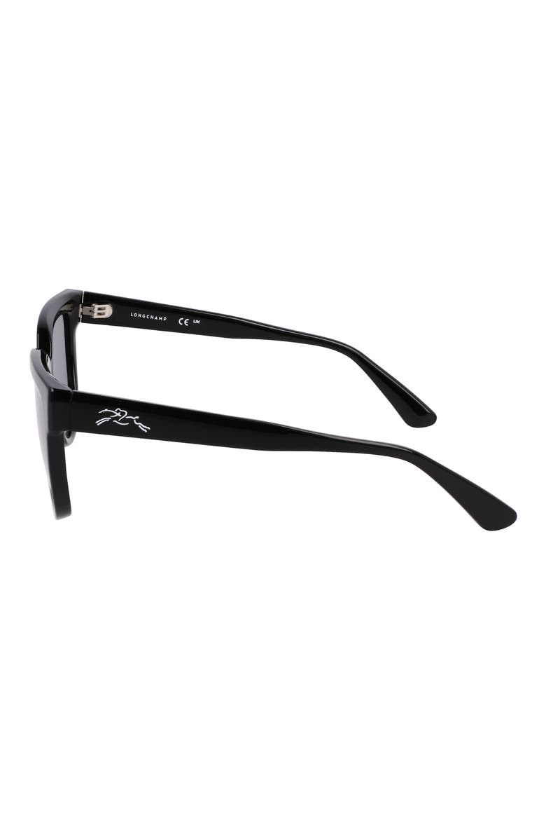 Le Pliage 52mm Round Sunglasses, Alternate, color, BLACK