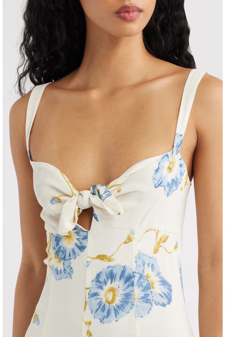 Aislinn Floral Tie Front Dress, Alternate, color, GLORIOUS