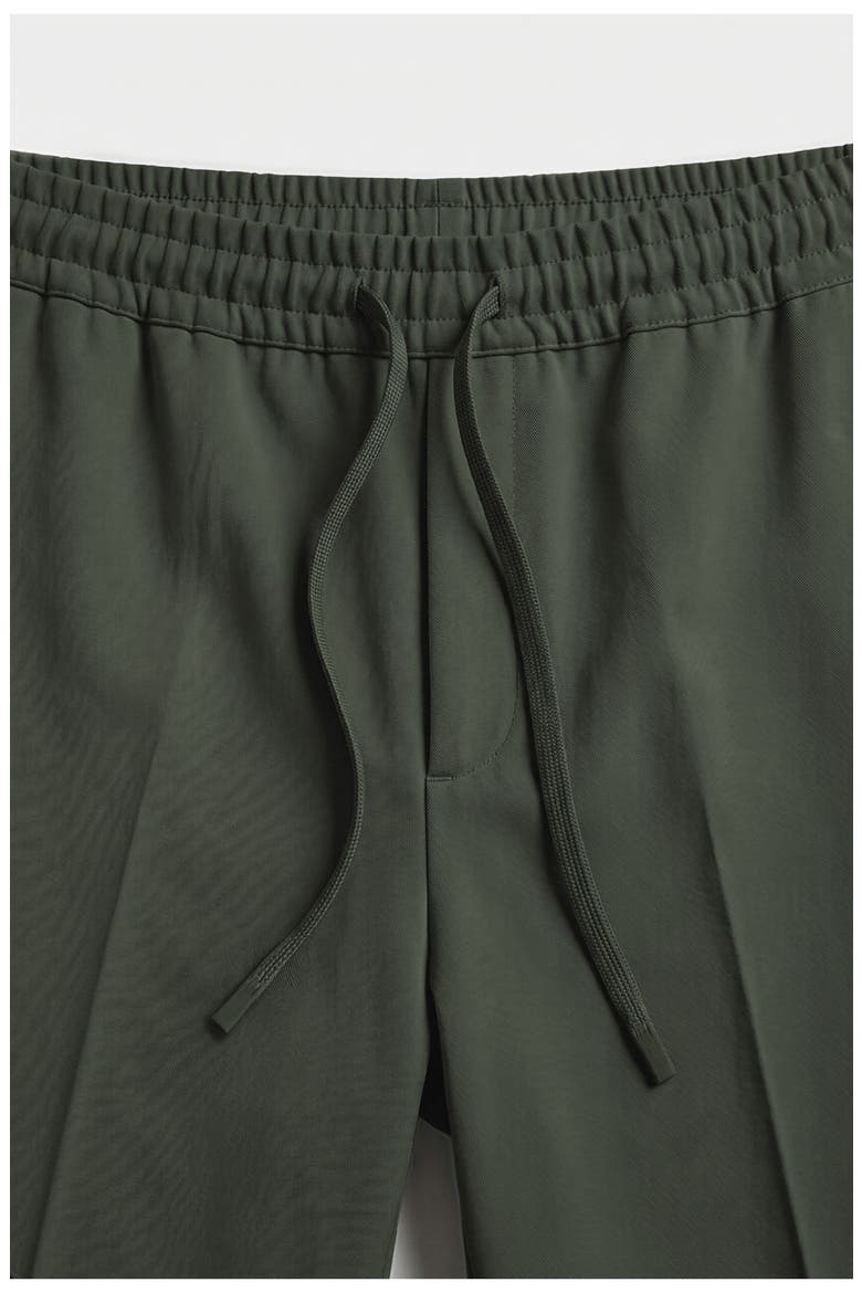 Benji Elastic Waist Pants, Alternate, color, PINE