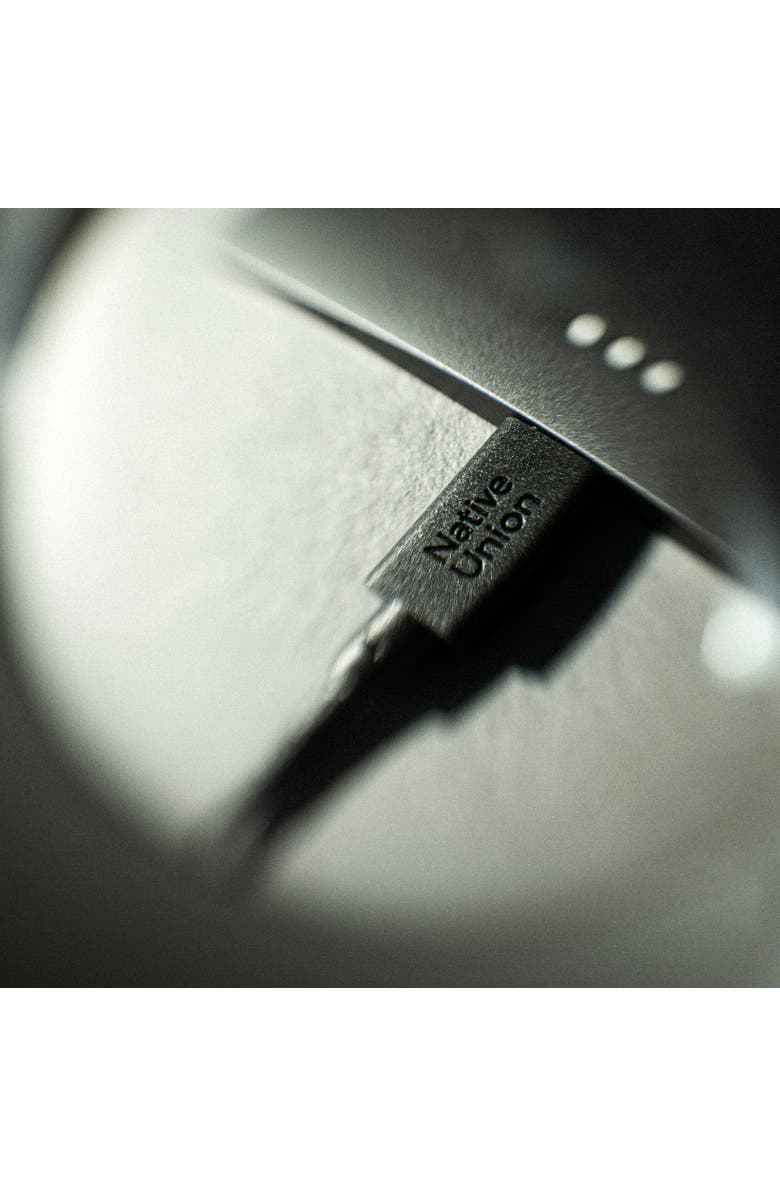 Native Union Belt Cable XL, Alternate, color,