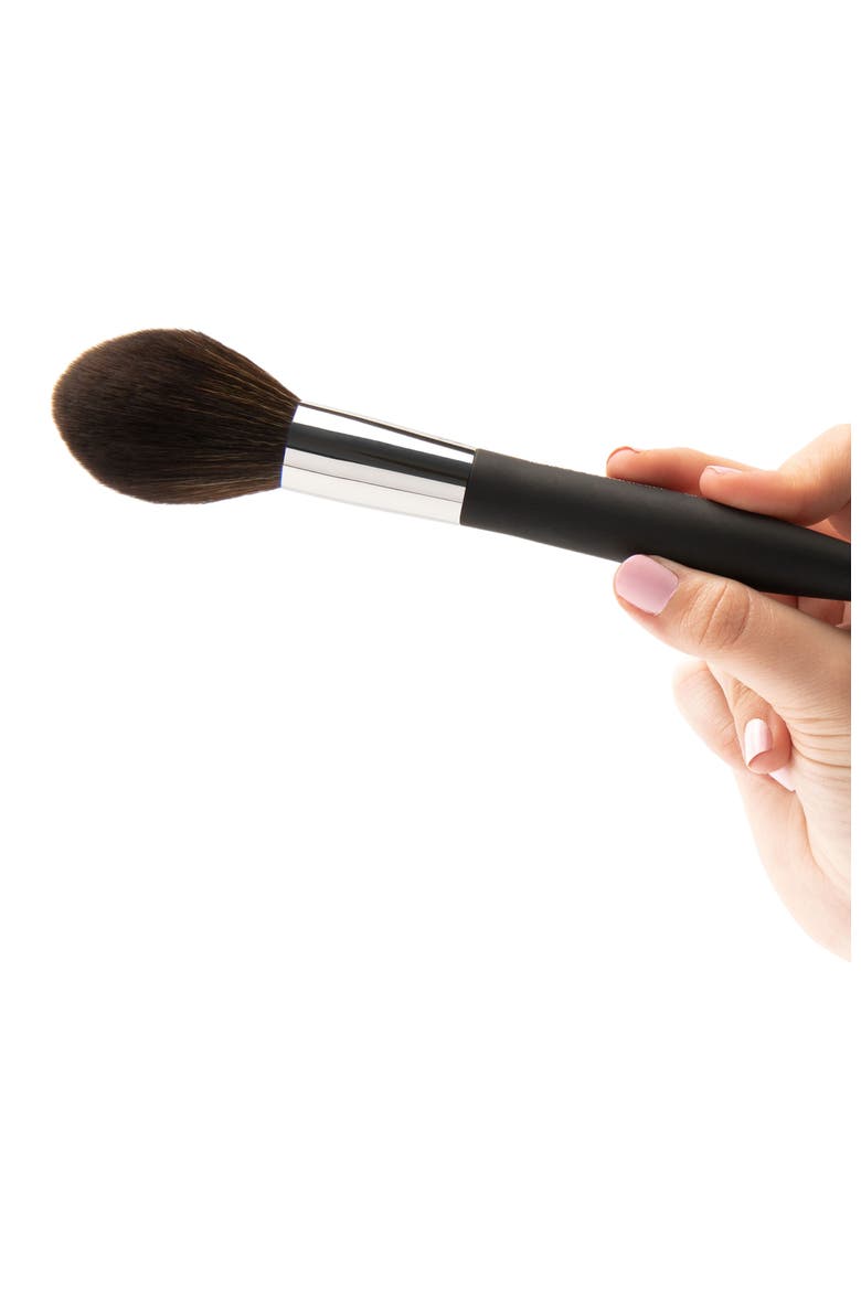 Pro Pointed Blush Makeup Brush, Alternate, color, Black