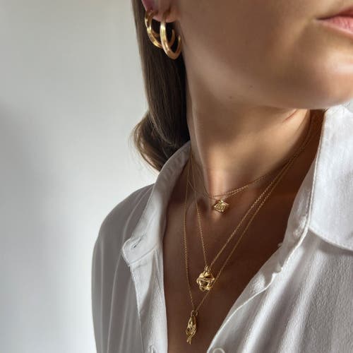 Astor & Orion Women's Gold Good Luck Charm Necklace In Gold