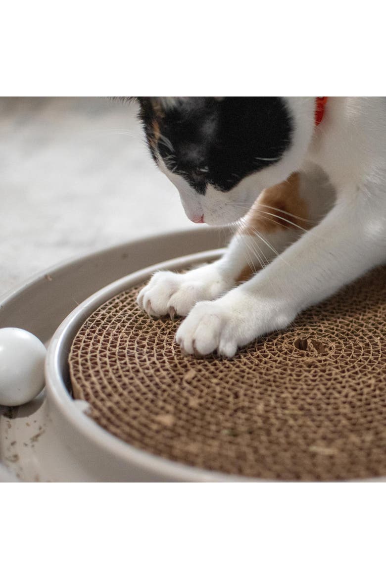 Scratcher Eco, Grey, Cat Toy & Catnip Pack, 15.5 Inches, Round Racetrack, Alternate, color, Gray