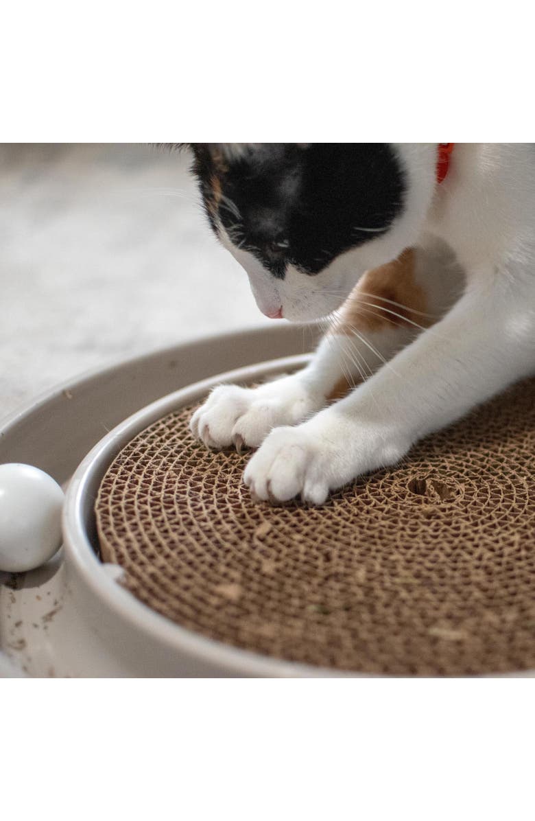 Turbo Scratcher Eco, Grey, Cat Toy & Catnip Pack, 15.5 Inches, Round Racetrack, Alternate, color, Gray