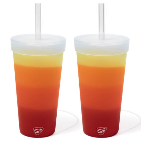 Silicone Straw Tumber 22oz 2 Pk