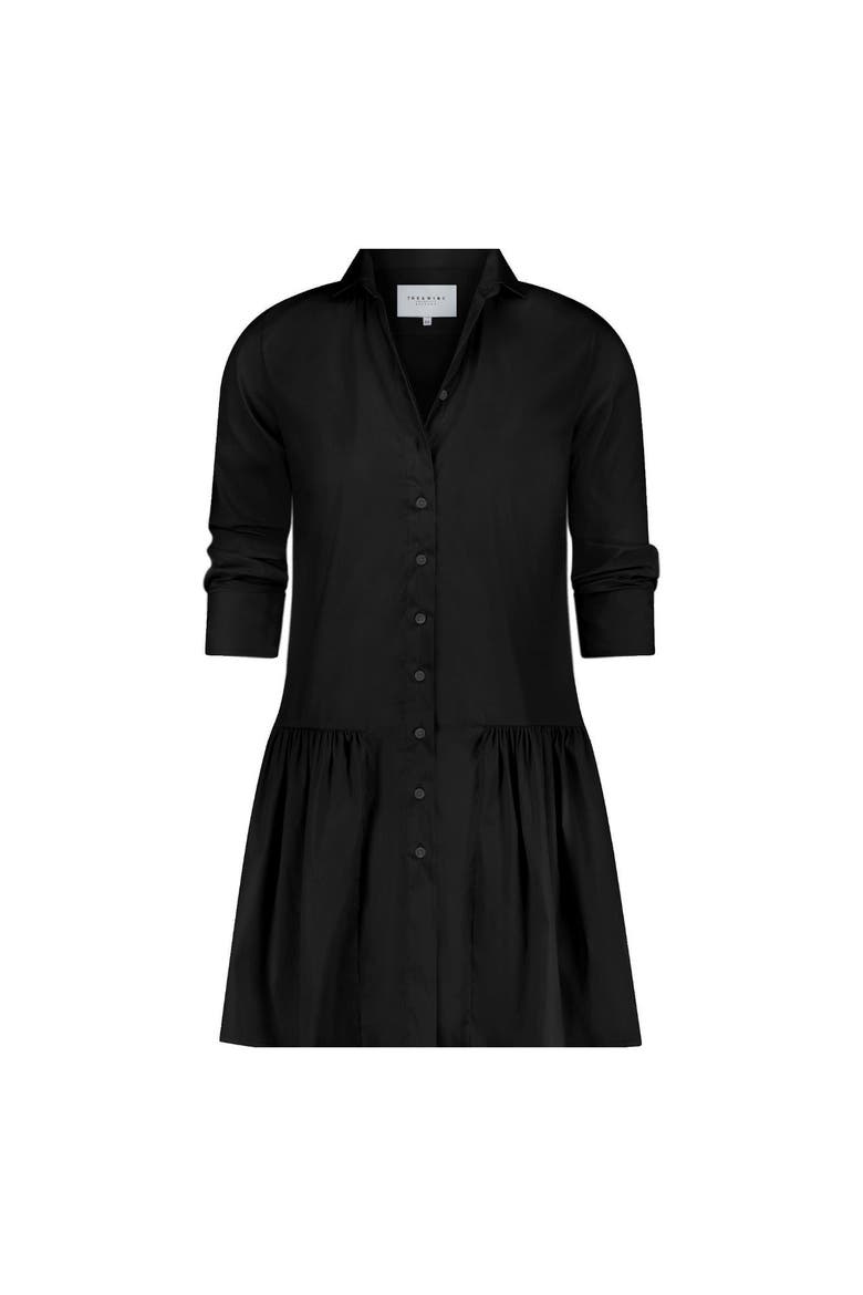 The Drop Waist Shirt Dress, Alternate, color, Black