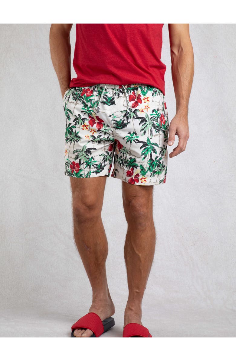 Weird Fish Belukha Printed Swim Shorts, Main, color, Peapod