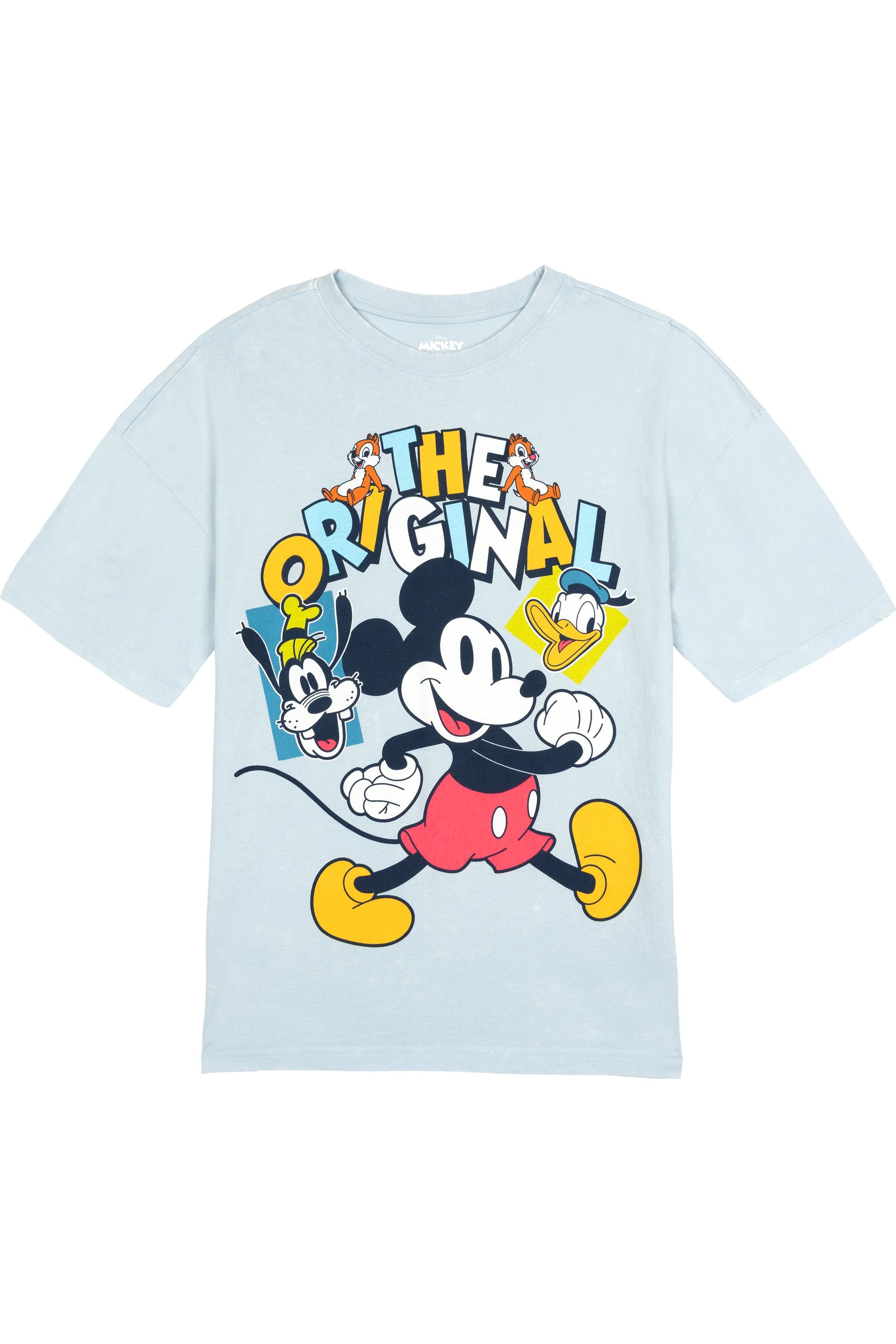 Mickey Friends Skyway