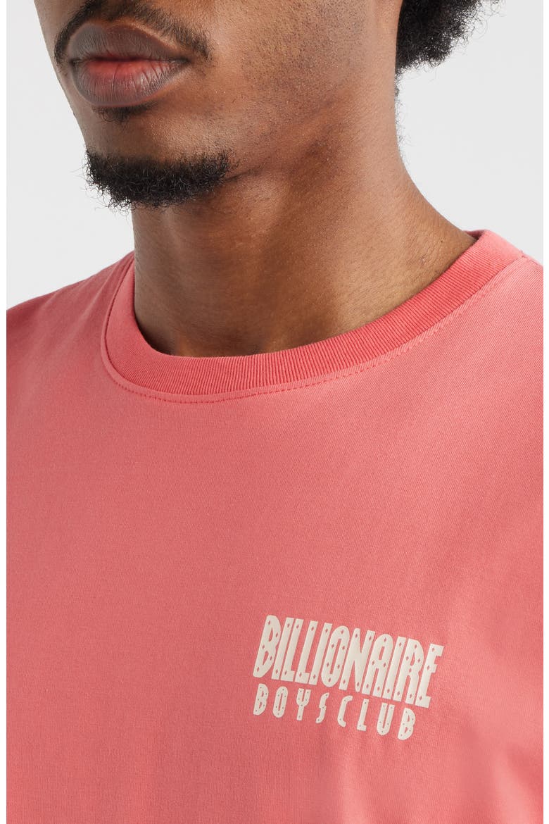 Small Logo Cotton Graphic T-Shirt, Alternate, color, ROSE OF SHARON