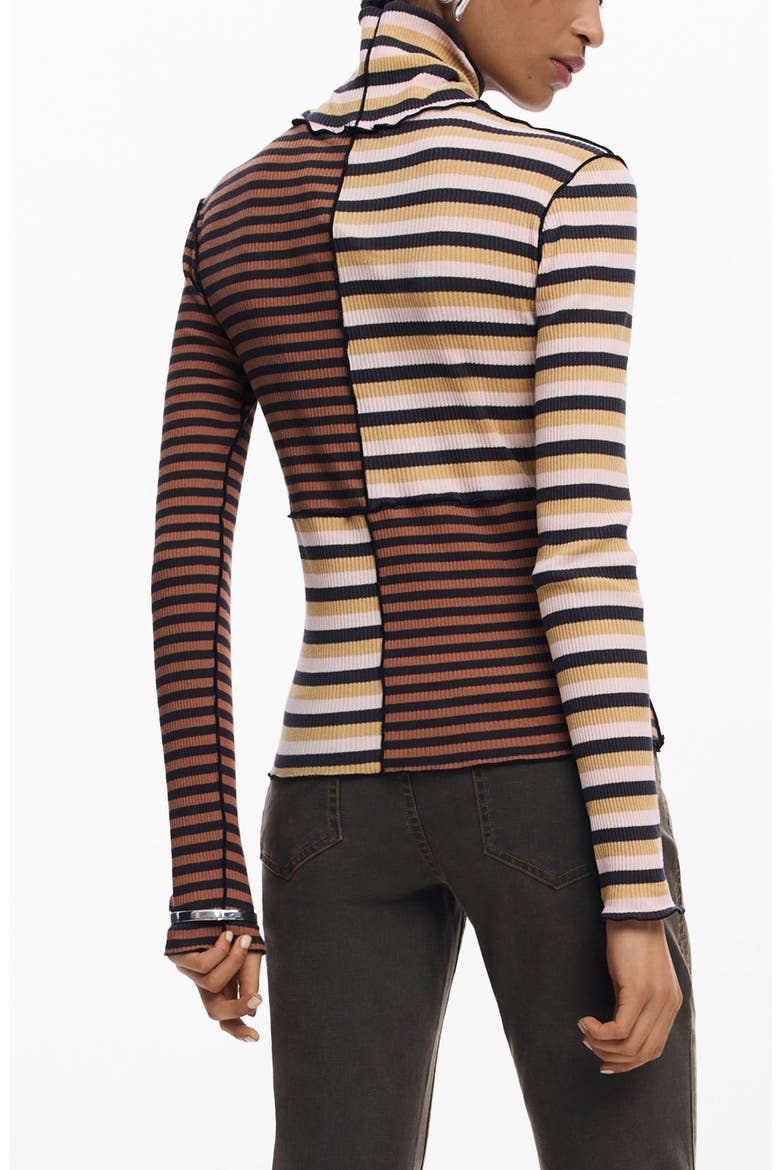 Colorblock Stripe Rib Turtleneck Top, Alternate, color, BROWN