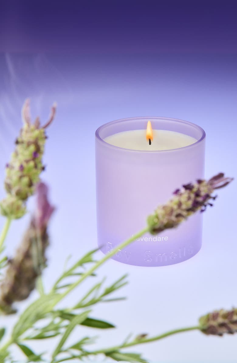 Boy Smells Lavendare Candle, Alternate, color,