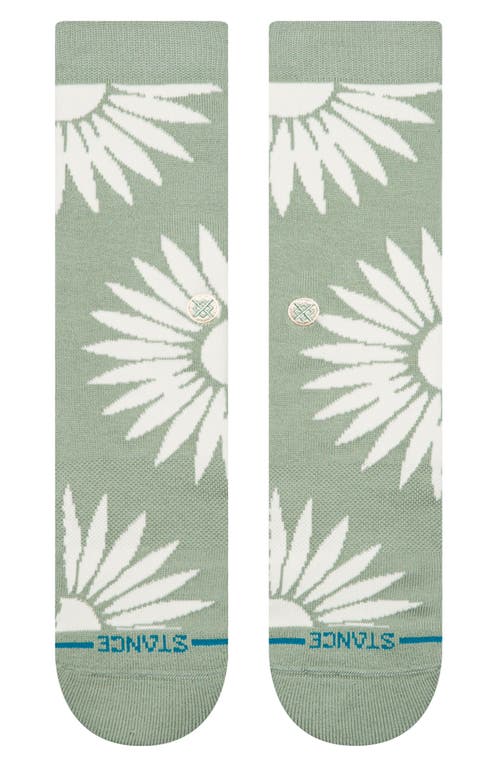 STANCE STANCE RADIAN BURST CREW SOCKS