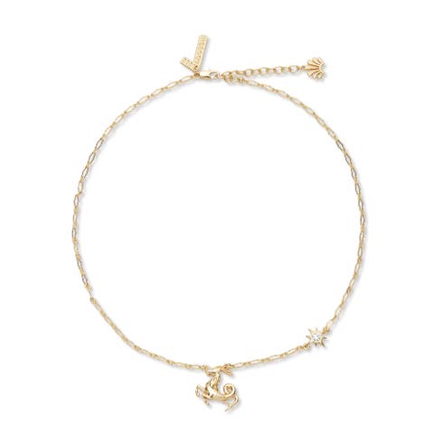 Capricorn Zodiac Necklace