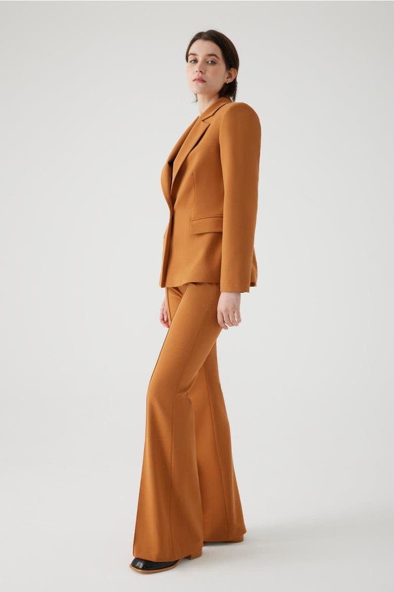 Alona Blazer Jacket, Alternate, color, CINNAMON