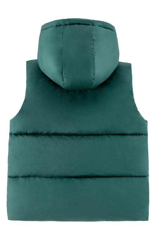 Calonie Kids' Dylan Reversible Down Hooded Puffer Vest In Multi