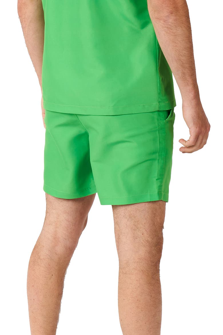 TMNT Matching Button-Up Shirt & Drawstring Shorts Set, Alternate, color, GREEN