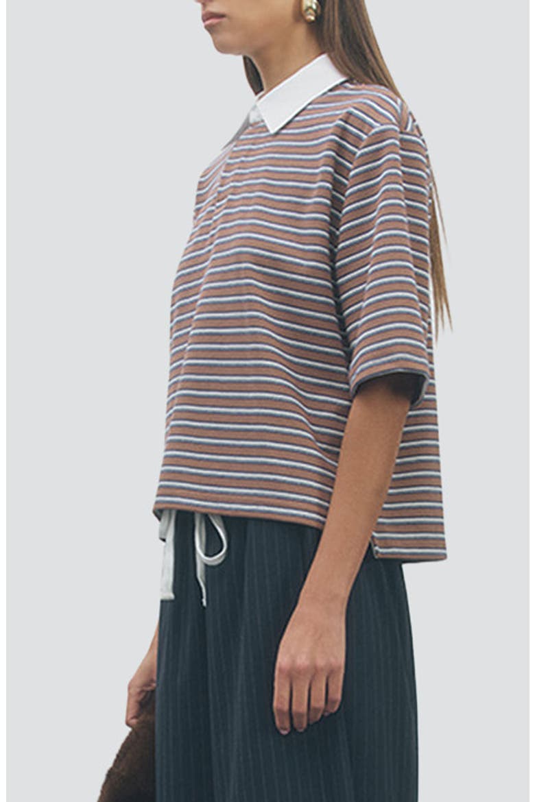 Frankie Striped Polo Top, Alternate, color, BROWN NAVY