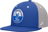 Nike Men's Nike Royal Air Force Falcons Vintage Patch Snapback Hat
