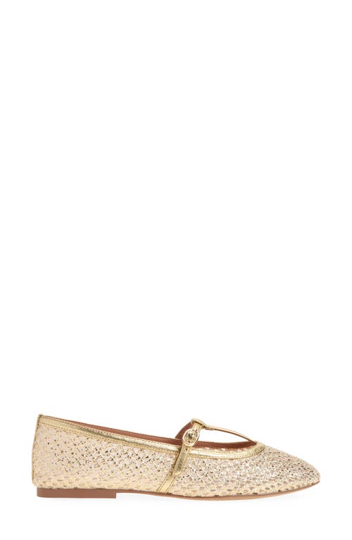 Linea Paolo Lilith Ankle Strap Sandal In Gold