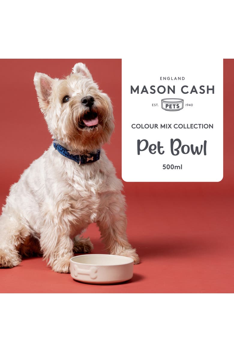 Embossed Bone 17oz Dog Food and Water Bowl, Alternate, color, Beige