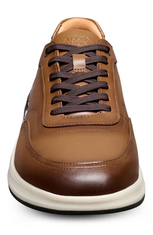 Allen Edmonds Gramercy Sport Sneaker In Brown