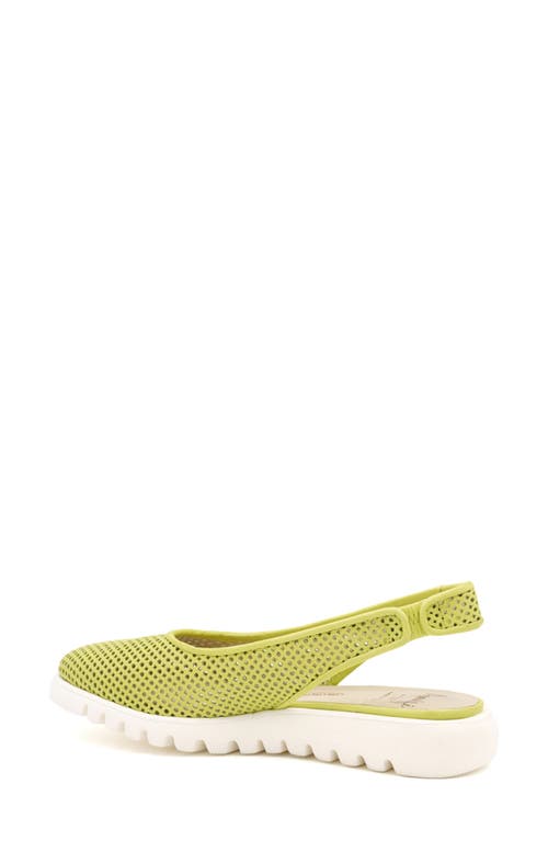 Amalfi By Rangoni Egregio Slingback Sneaker In Lime Vapor