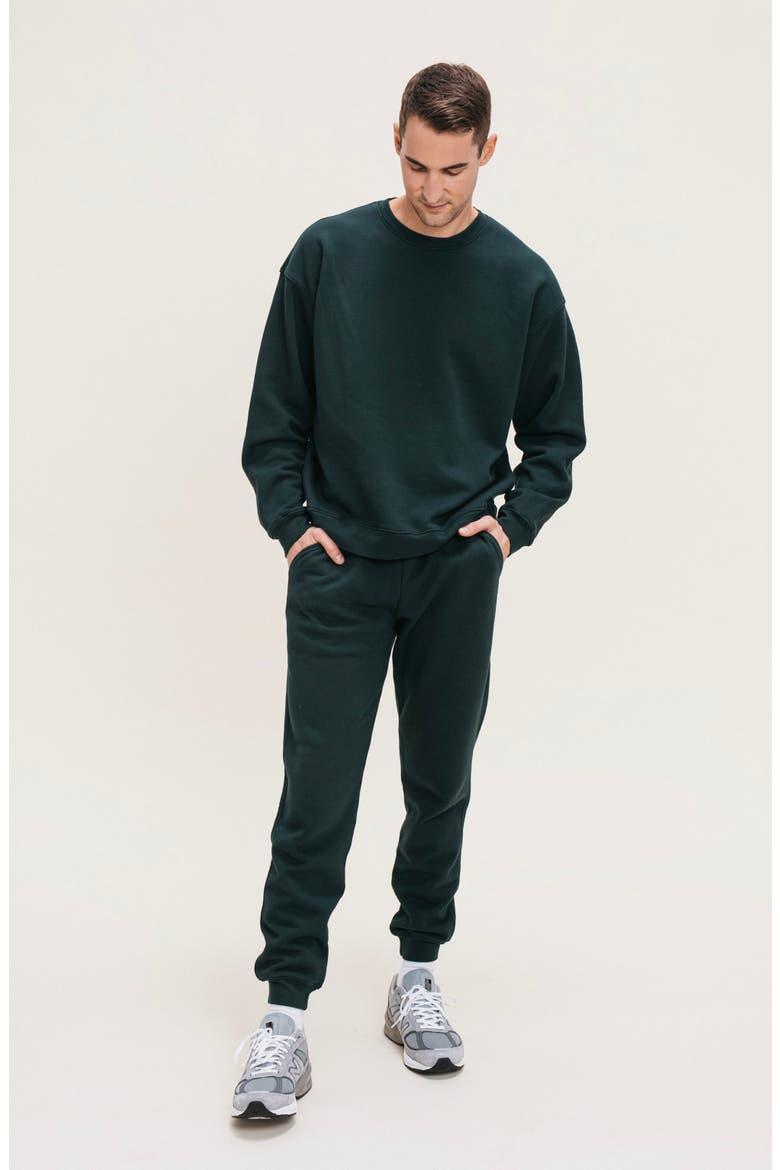 Men's Organic Cotton Teddy Everywhere Jogger, Main, color, Grove