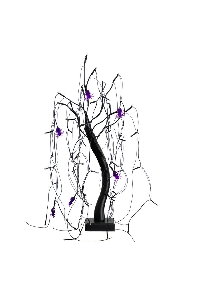 2-ft Pre-Lit Halloween Artificial Black Spooky Spider Willow Tree with 60 Orange & Purple LED Lights, Main, color, Black