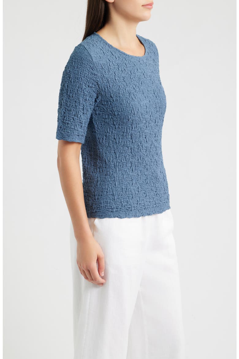 Crewneck Textured T-Shirt, Alternate, color, COLDSPRING