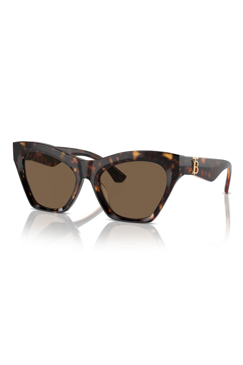 55mm Cat Eye Sunglasses, Alternate, color, DARK HAVANA