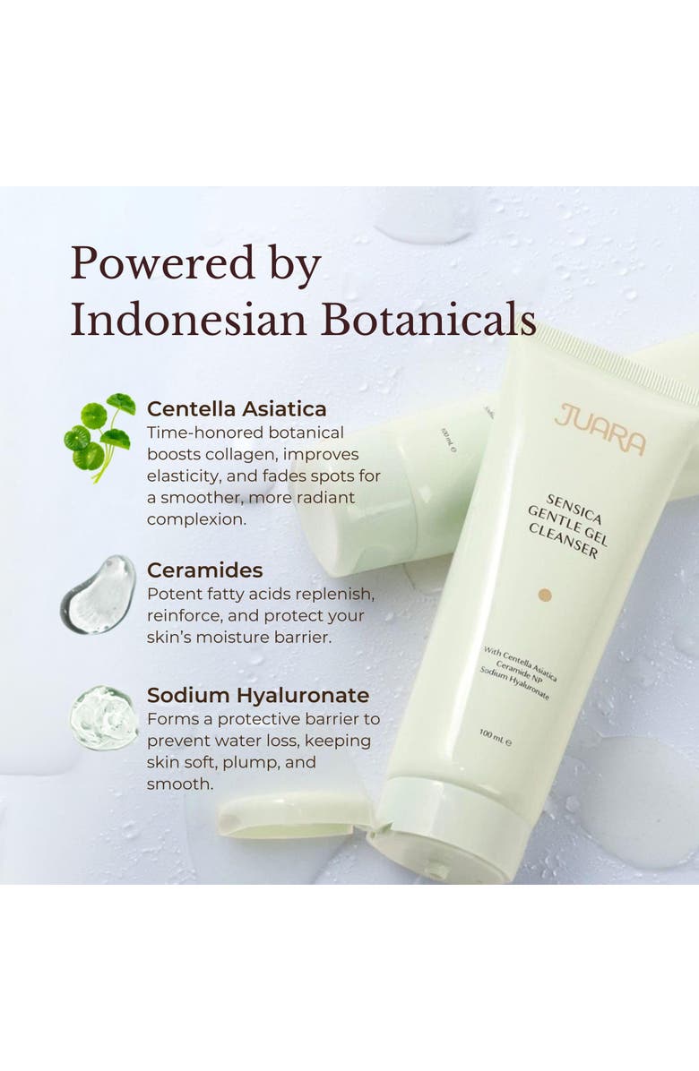 Juara Sensica Gentle Gel Cleanser, Alternate, color, NO COLOR
