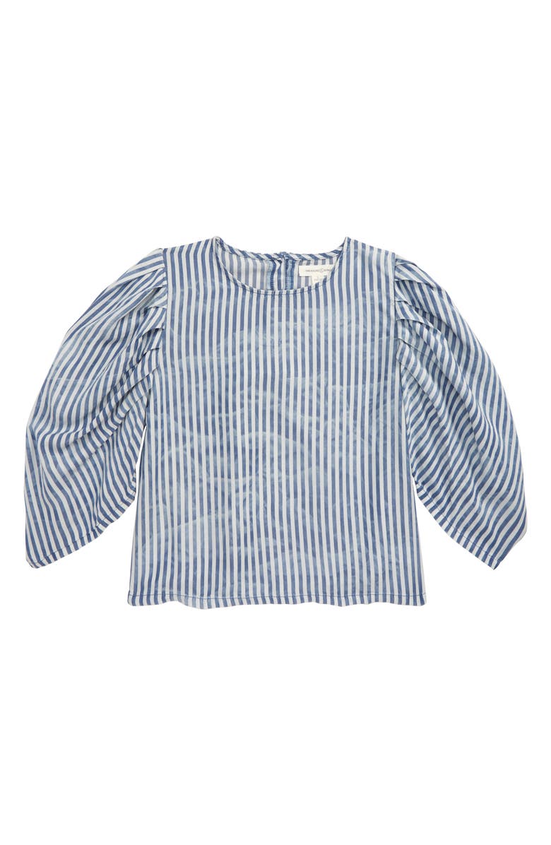 Treasure & Bond Exaggerated Sleeve Top, Main, color, 