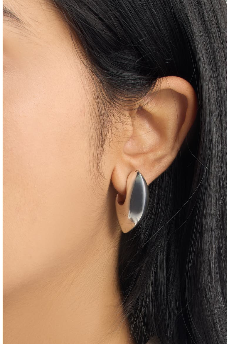 Small Claw Hoop Earrings, Alternate, color, 8117 SILVER