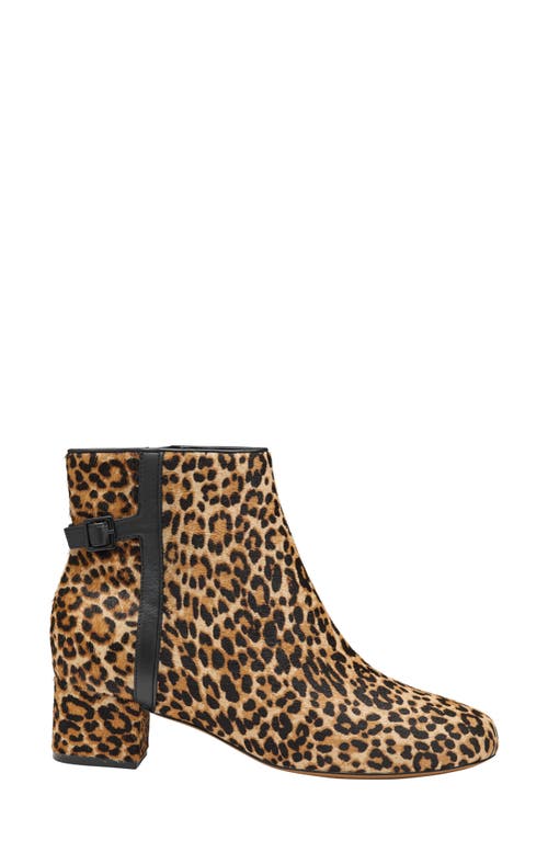 Johnston & Murphy Sienna Belted Bootie In Animal Print