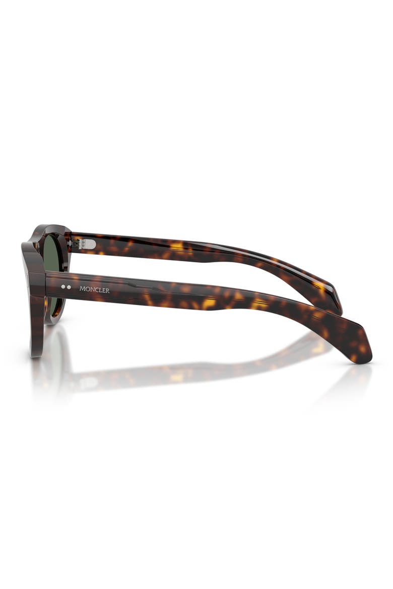 53mm Splash Oval Sunglasses, Alternate, color, HAVANA / SOLID DARK GREEN