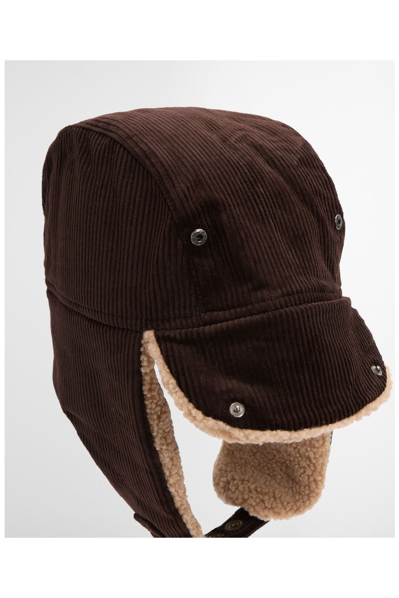 Westdale Corduroy Trapper Hat, Alternate, color, BROWN
