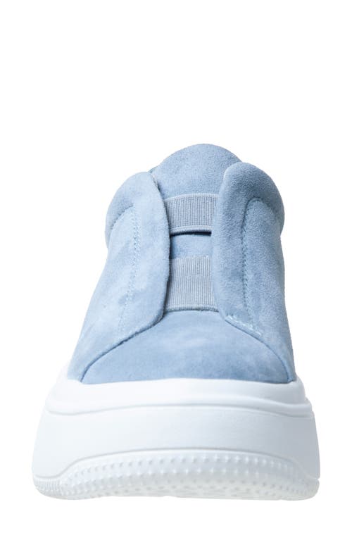 Linea Paolo Golde Platform Sneaker