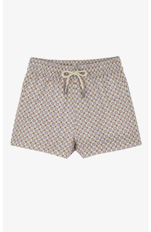 Gottex Kids Vacation Mode Boys Swim Shorts In Brown