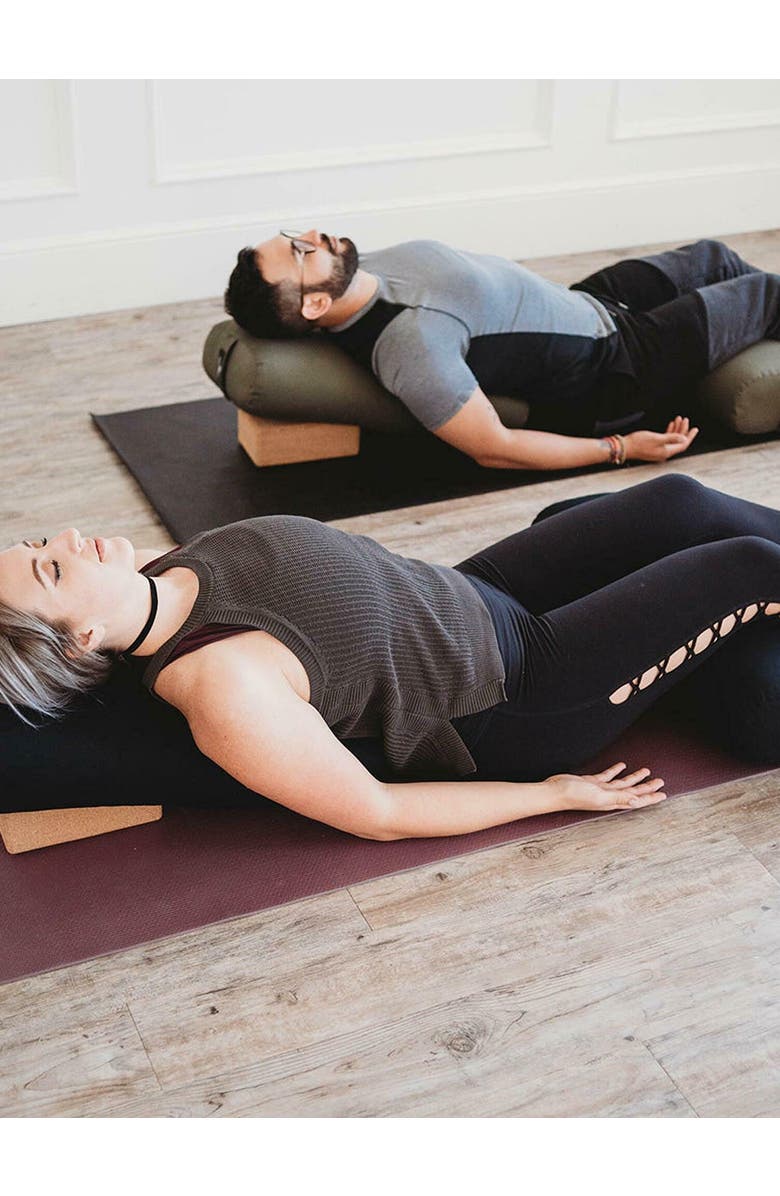 Hugger Mugger Standard Bolster, Alternate, color, Black