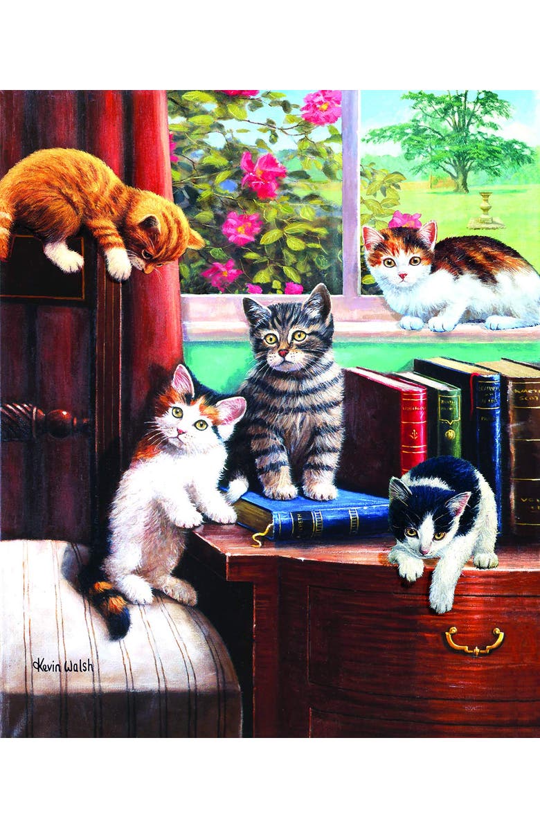 Sunsout Playtime in the Study 1000 piece Jigsaw Puzzle for Adults, Main, color, Multicolor