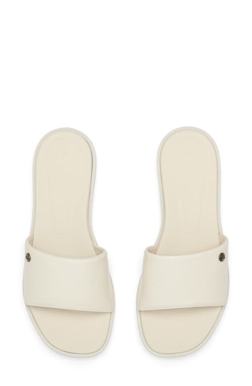 Reef Cushion Sunny Slide Sandal In Brown