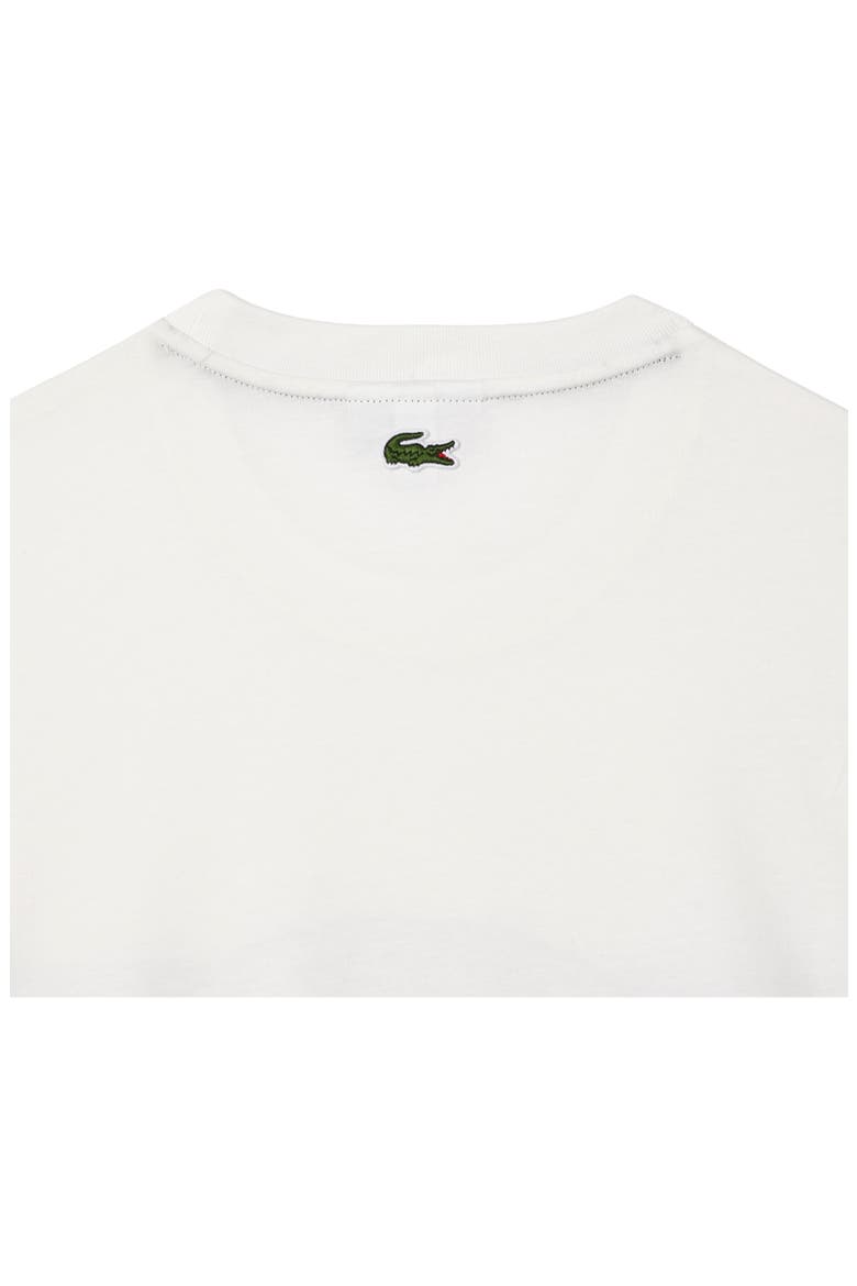 Chest Stripe Graphic T-Shirt, Alternate, color, FARINE